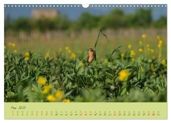 Wilde Toskana - von René Schaack (Wandkalender 2027 DIN A3 quer), CALVENDO Monatskalender