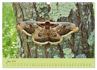 Wilde Toskana - von René Schaack (Wandkalender 2027 DIN A3 quer), CALVENDO Monatskalender