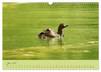 Wilde Toskana - von René Schaack (Wandkalender 2027 DIN A3 quer), CALVENDO Monatskalender