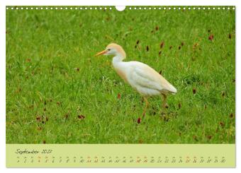 Wilde Toskana - von René Schaack (Wandkalender 2027 DIN A3 quer), CALVENDO Monatskalender