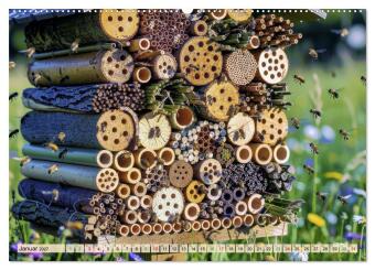 Wildbienenhotels (hochwertiger Premium Wandkalender 2027 DIN A2 quer), Kunstdruck in Hochglanz