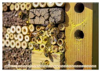Wildbienenhotels (hochwertiger Premium Wandkalender 2027 DIN A2 quer), Kunstdruck in Hochglanz