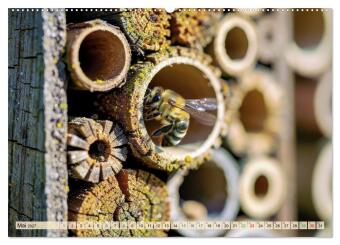 Wildbienenhotels (hochwertiger Premium Wandkalender 2027 DIN A2 quer), Kunstdruck in Hochglanz