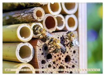 Wildbienenhotels (hochwertiger Premium Wandkalender 2027 DIN A2 quer), Kunstdruck in Hochglanz