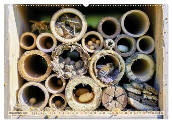 Wildbienenhotels (hochwertiger Premium Wandkalender 2027 DIN A2 quer), Kunstdruck in Hochglanz