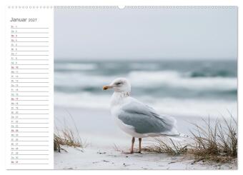 Stille am Horizont (Wandkalender 2027 DIN A2 quer), CALVENDO Monatskalender