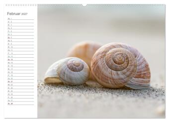 Stille am Horizont (Wandkalender 2027 DIN A2 quer), CALVENDO Monatskalender