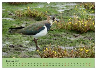 Faszination Zugvögel - Rekorde in der Vogelwelt (hochwertiger Premium Wandkalender 2027 DIN A2 quer), Kunstdruck in Hochglanz