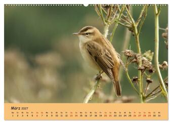 Faszination Zugvögel - Rekorde in der Vogelwelt (hochwertiger Premium Wandkalender 2027 DIN A2 quer), Kunstdruck in Hochglanz