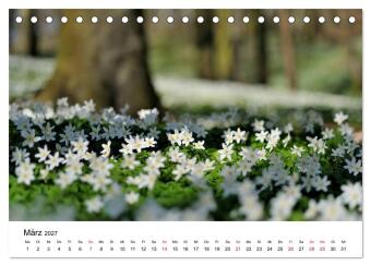 Insel Rügen Impressionen (Tischkalender 2027 DIN A5 quer), CALVENDO Monatskalender