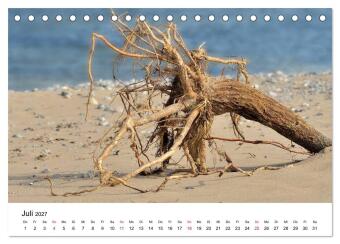 Insel Rügen Impressionen (Tischkalender 2027 DIN A5 quer), CALVENDO Monatskalender