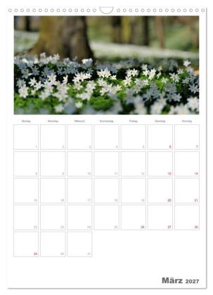 Insel Rügen / Planer (Wandkalender 2027 DIN A3 hoch), CALVENDO Monatskalender