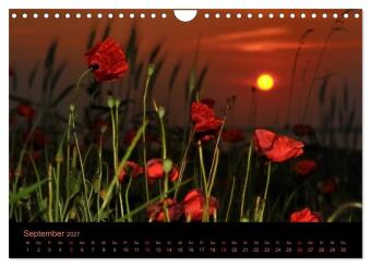 Sonnenuntergang (Wandkalender 2027 DIN A4 quer), CALVENDO Monatskalender