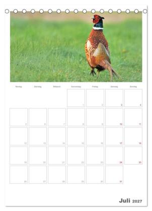 Rehe & Co / Planer (Tischkalender 2027 DIN A5 hoch), CALVENDO Monatskalender