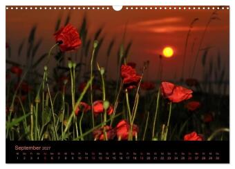 Sonnenuntergang (Wandkalender 2027 DIN A3 quer), CALVENDO Monatskalender