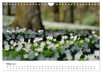 Insel Rügen Impressionen (Wandkalender 2027 DIN A4 quer), CALVENDO Monatskalender