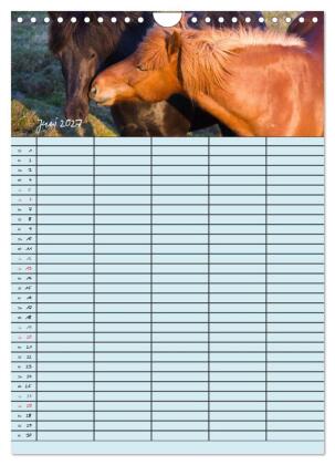 Island Familienplaner (Wandkalender 2027 DIN A4 hoch), CALVENDO Monatskalender