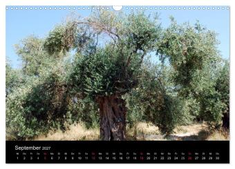 Griechenland - Insel Thassos (Wandkalender 2027 DIN A3 quer), CALVENDO Monatskalender