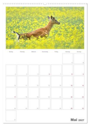 Rehe & Co / Planer (Wandkalender 2027 DIN A2 hoch), CALVENDO Monatskalender