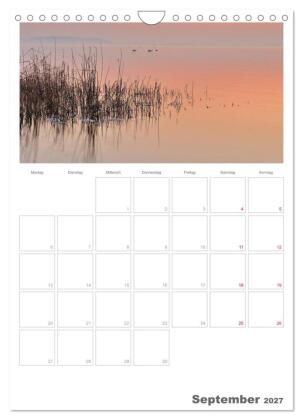 Insel Rügen / Planer (Wandkalender 2027 DIN A4 hoch), CALVENDO Monatskalender