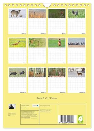 Rehe & Co / Planer (Wandkalender 2027 DIN A4 hoch), CALVENDO Monatskalender