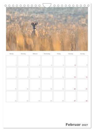 Rehe & Co / Planer (Wandkalender 2027 DIN A4 hoch), CALVENDO Monatskalender