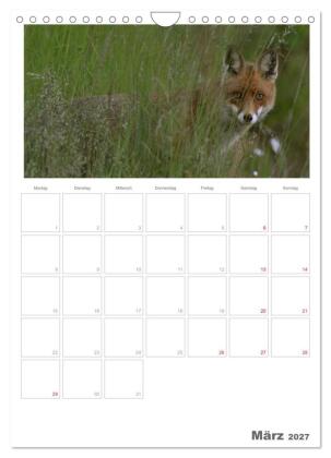 Rehe & Co / Planer (Wandkalender 2027 DIN A4 hoch), CALVENDO Monatskalender