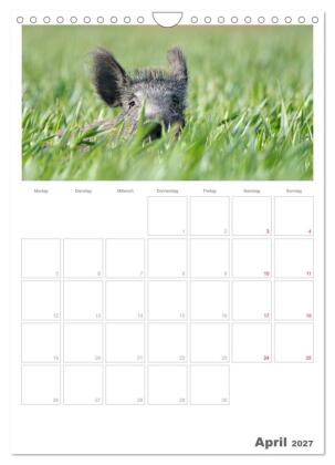 Rehe & Co / Planer (Wandkalender 2027 DIN A4 hoch), CALVENDO Monatskalender