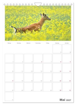 Rehe & Co / Planer (Wandkalender 2027 DIN A4 hoch), CALVENDO Monatskalender