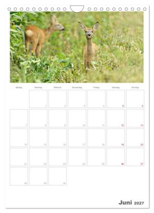 Rehe & Co / Planer (Wandkalender 2027 DIN A4 hoch), CALVENDO Monatskalender