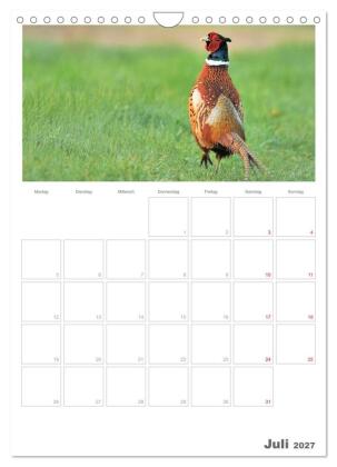 Rehe & Co / Planer (Wandkalender 2027 DIN A4 hoch), CALVENDO Monatskalender