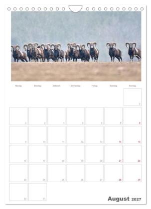 Rehe & Co / Planer (Wandkalender 2027 DIN A4 hoch), CALVENDO Monatskalender