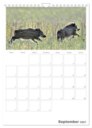 Rehe & Co / Planer (Wandkalender 2027 DIN A4 hoch), CALVENDO Monatskalender