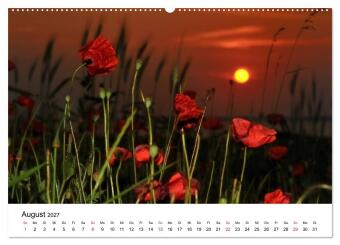 Insel Rügen Impressionen (Wandkalender 2027 DIN A2 quer), CALVENDO Monatskalender