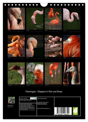 Flamingos - Eleganz in Rot und Rosa (Wandkalender 2027 DIN A4 hoch), CALVENDO Monatskalender