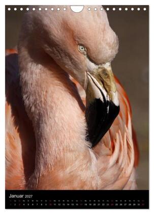 Flamingos - Eleganz in Rot und Rosa (Wandkalender 2027 DIN A4 hoch), CALVENDO Monatskalender