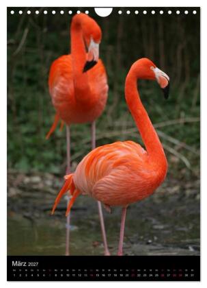 Flamingos - Eleganz in Rot und Rosa (Wandkalender 2027 DIN A4 hoch), CALVENDO Monatskalender
