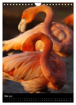 Flamingos - Eleganz in Rot und Rosa (Wandkalender 2027 DIN A4 hoch), CALVENDO Monatskalender