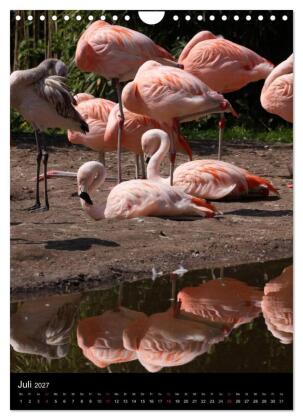 Flamingos - Eleganz in Rot und Rosa (Wandkalender 2027 DIN A4 hoch), CALVENDO Monatskalender