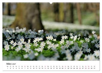 Insel Rügen Impressionen (hochwertiger Premium Wandkalender 2027 DIN A2 quer), Kunstdruck in Hochglanz
