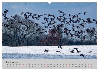 Biosphärenreservat Schaalsee (hochwertiger Premium Wandkalender 2027 DIN A2 quer), Kunstdruck in Hochglanz
