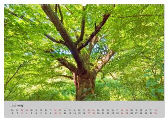 Biosphärenreservat Schaalsee (hochwertiger Premium Wandkalender 2027 DIN A2 quer), Kunstdruck in Hochglanz