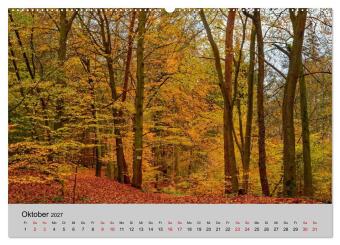 Biosphärenreservat Schaalsee (hochwertiger Premium Wandkalender 2027 DIN A2 quer), Kunstdruck in Hochglanz