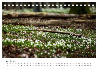 Rügen (Tischkalender 2027 DIN A5 quer), CALVENDO Monatskalender