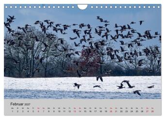 Biosphärenreservat Schaalsee (Wandkalender 2027 DIN A4 quer), CALVENDO Monatskalender