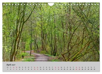 Biosphärenreservat Schaalsee (Wandkalender 2027 DIN A4 quer), CALVENDO Monatskalender