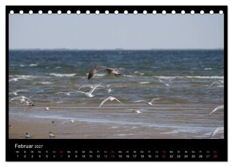 Texel, eine Perle Hollands (Tischkalender 2027 DIN A5 quer), CALVENDO Monatskalender