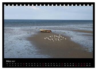 Texel, eine Perle Hollands (Tischkalender 2027 DIN A5 quer), CALVENDO Monatskalender