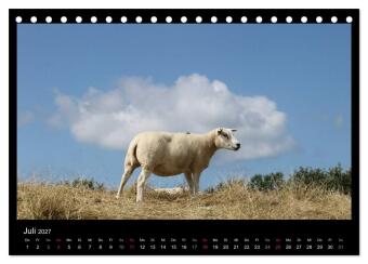 Texel, eine Perle Hollands (Tischkalender 2027 DIN A5 quer), CALVENDO Monatskalender
