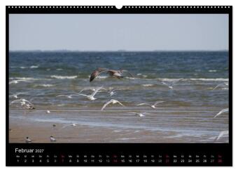 Texel, eine Perle Hollands (hochwertiger Premium Wandkalender 2027 DIN A2 quer), Kunstdruck in Hochglanz
